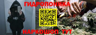 не бодяженный Будённовск